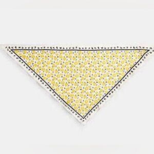 Coach 🆕 Evelyn Floral Print Silk Triangle Scarf